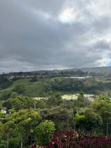 A panoramic view of lush green hills under a cloudy sky. The foreground features a variety of trees and colorful plants, while the background showcases rolling hills dotted with structures, possibly agricultural fields. The overall scene conveys a sense of natural beauty and tranquility. - Costa Rica