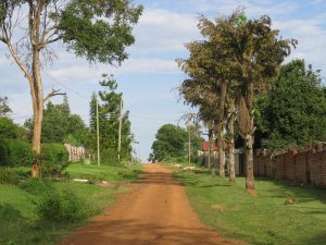 A rural dirt road, lined with lush trees and greenery, stretches toward the distant horizon under a partly cloudy sky. Sunlight illuminates the path, highlighting the surrounding fences, structures, and overhead power lines that define the serene landscape.