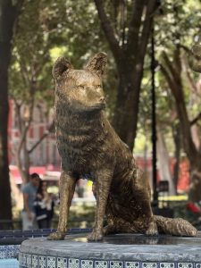 A bronze statue of a "Coyote" sits prominently on a circular stone base. The Coyote is depicted in a realistic manner, with detailed fur texture, pointed ears, and a watchful expression. Surrounding the statue is a decorative stone border with intricate patterns.