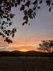 A beautiful sunset with warm orange and golden tones fading behind distant mountains, framed by tree branches and open fields, creating a peaceful and serene natural landscape