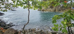 Quepos Beach in Costa Rica with rocks, a beach almond tree, and small ocean waves.