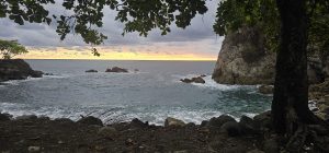 Panoramic view of Nahomi Park showing a calm sea at a rocky coastal inlet during sunset, framed by an almond tree on the right.
