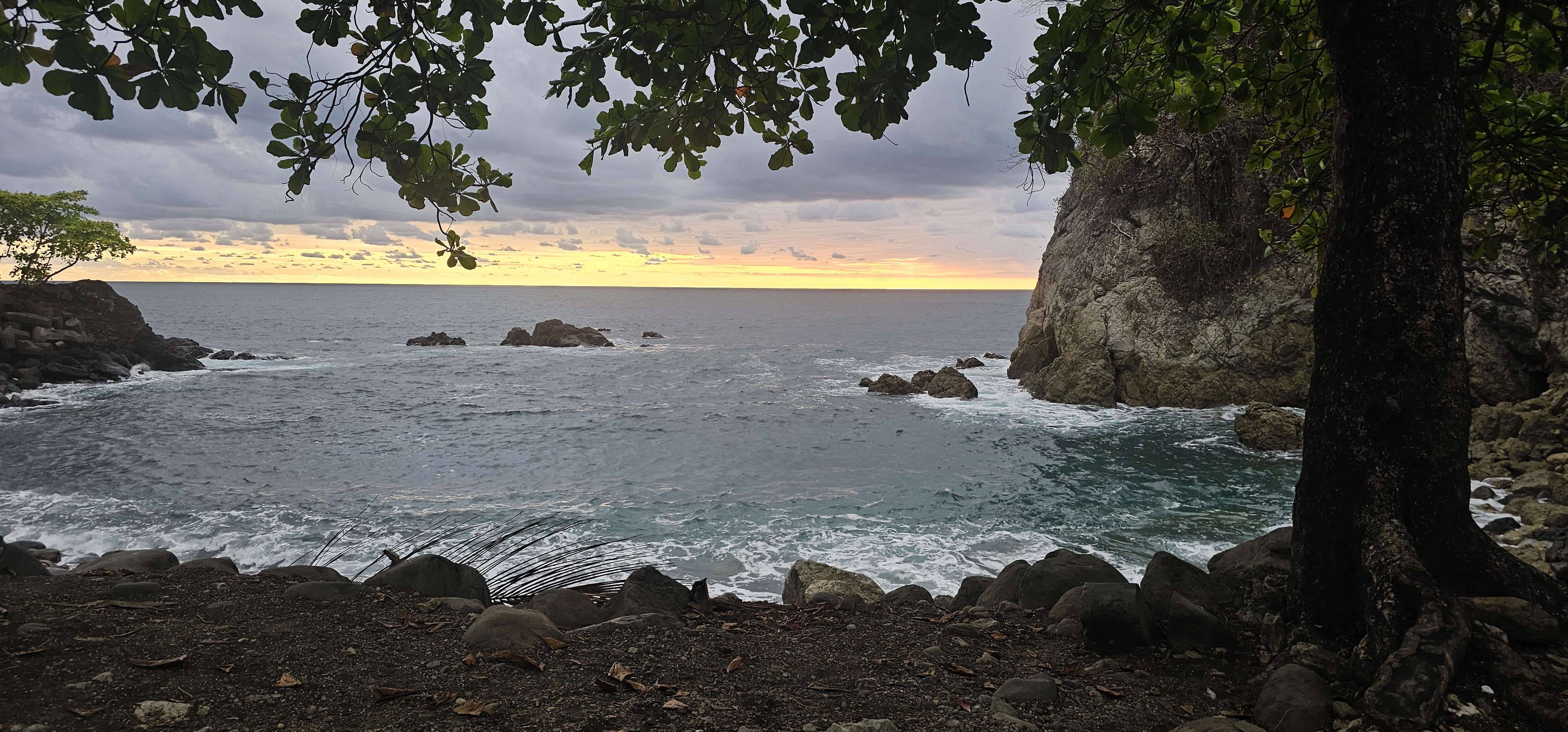 Panoramic view of Nahomi Park showing a calm sea at a rocky coastal inlet during sunset, framed by an almond tree on the right.