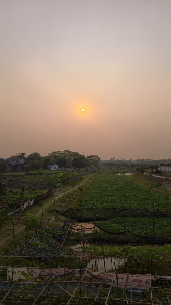 A wide landscape view of a rural field with green crops and a small house under a hazy sunset sky.