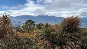 A scenic view of a mountainous landscape under a partly cloudy sky. In the foreground, various shrubs and trees display a mix of green and reddish foliage. The rolling hills and mountains in the background are shrouded in mist and clouds, creating a serene and tranquil atmosphere. - Cervantes, Cartago, Costa Rica