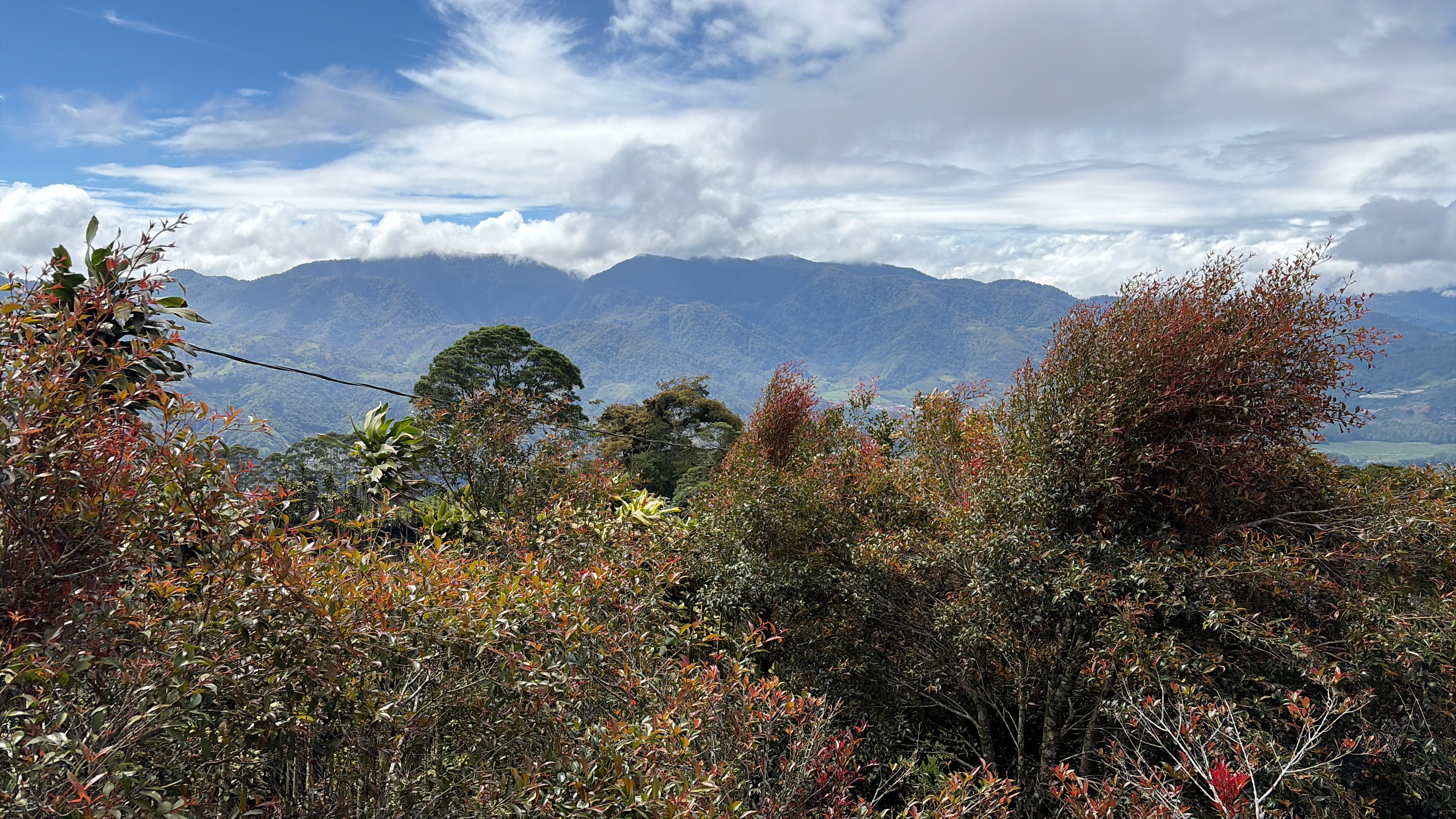 A scenic view of a mountainous landscape under a partly cloudy sky. In the foreground, various shrubs and trees display a mix of green and reddish foliage. The rolling hills and mountains in the background are shrouded in mist and clouds, creating a serene and tranquil atmosphere. - Cervantes, Cartago, Costa Rica
