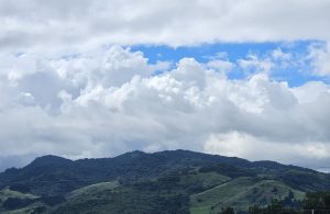 A lush green mountain in Costa Rica, covered in dense trees beneath a bright blue sky scattered with soft, drifting clouds.
