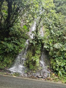 Small waterfalls in Braulio Carrillo Park
