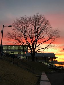 Sunset at Fidelitas University