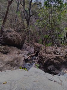 rugged natural landscape dominated by large, weathered boulders and a narrow stream winding through them. Fallen tree trunks rest across the water, adding a sense of wild authenticity. Sparse trees with thin foliage surround the rocky terrain, suggesting a dry or semi-arid forest environment.