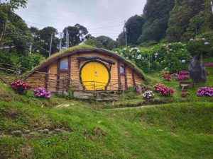 A whimsical wooden house with a bright yellow round door, situated on a grassy slope. The roof is covered with greenery, and the house is surrounded by colorful flower beds featuring pink and white blooms. In the background, lush trees and bushes create a scenic backdrop, and there are utility poles in the distance. A figure dressed in dark clothing stands nearby, enhancing the enchanting atmosphere.