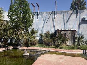 A small pond with murky green water is surrounded by lush tropical plants, including palm trees. In the background, there is a rustic wooden structure with a corrugated metal roof. A painted wall depicts tall trees, enhancing the natural setting. The sky above is clear and blue, indicating a sunny day.