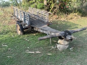 A rustic wooden flatbed cart with slatted sides and two large wheels rests on a patch of green grass. The front wooden beam is supported by three stacked stones and secured with a black tire, set against a rural backdrop of shrubs and natural foliage.