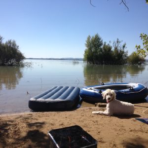 White dog on sandy beach by two inflatable boats on calm lake. Inflatable mattress floats nearby.