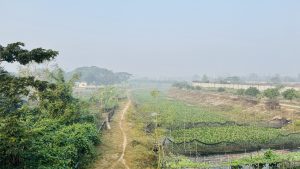 Elevated view of a narrow dirt path through a lush rural landscape, with bushes, garden plots, a small building, and a misty early morning sky.