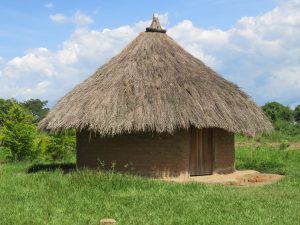 Circular mud-brick hut with a conical thatched roof and wooden door, standing in a green grassy field.