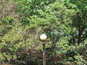 A white spherical light sits on a dark pole, with green bushes, red flowers, and water in the background.