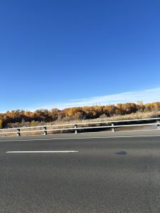 A clear blue sky is visible above a road, which features a single white lane marking