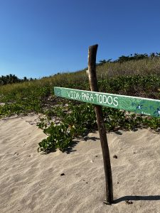 A wooden signpost stands in a sandy area, bearing the inscription "VIDA PARA TODOS" in white letters on a green background.