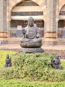 A Buddha statue is placed in a garden setting of Chhatrapati Shivaji Maharaj Vastu Sangrahalaya in Mumbai. The greenery around and the calm pose create a peaceful and balanced composition.
