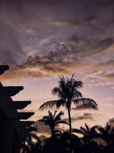 Silhouetted palm trees and building eaves against a twilight sky with layered clouds in purple, orange, and pink hues.
