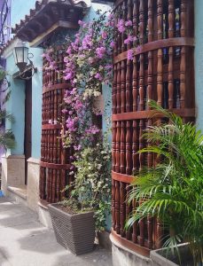 Charming colonial-style building with turquoise walls, curved wooden window grilles, and cascading pink and white flowers climbing between the windows. Potted tropical plants line the sidewalk beside a traditional wall lantern.
