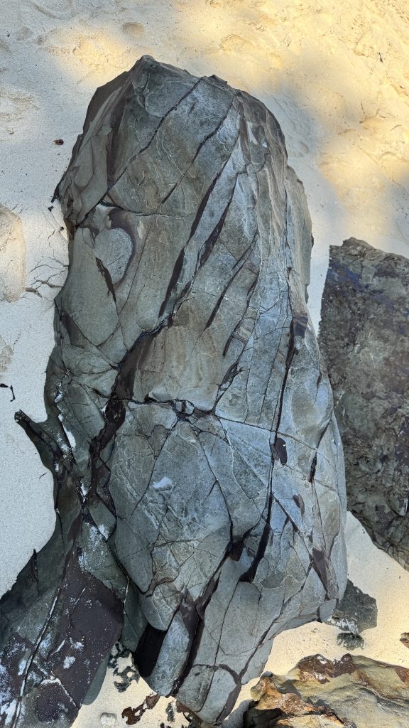 A large vertical rock with many deep cracks sits on a sandy beach. The rock is light grey and the cracks are filled with dark brown or black material. The sun shines from the side, creating bright highlights and soft shadows on the textured stone.