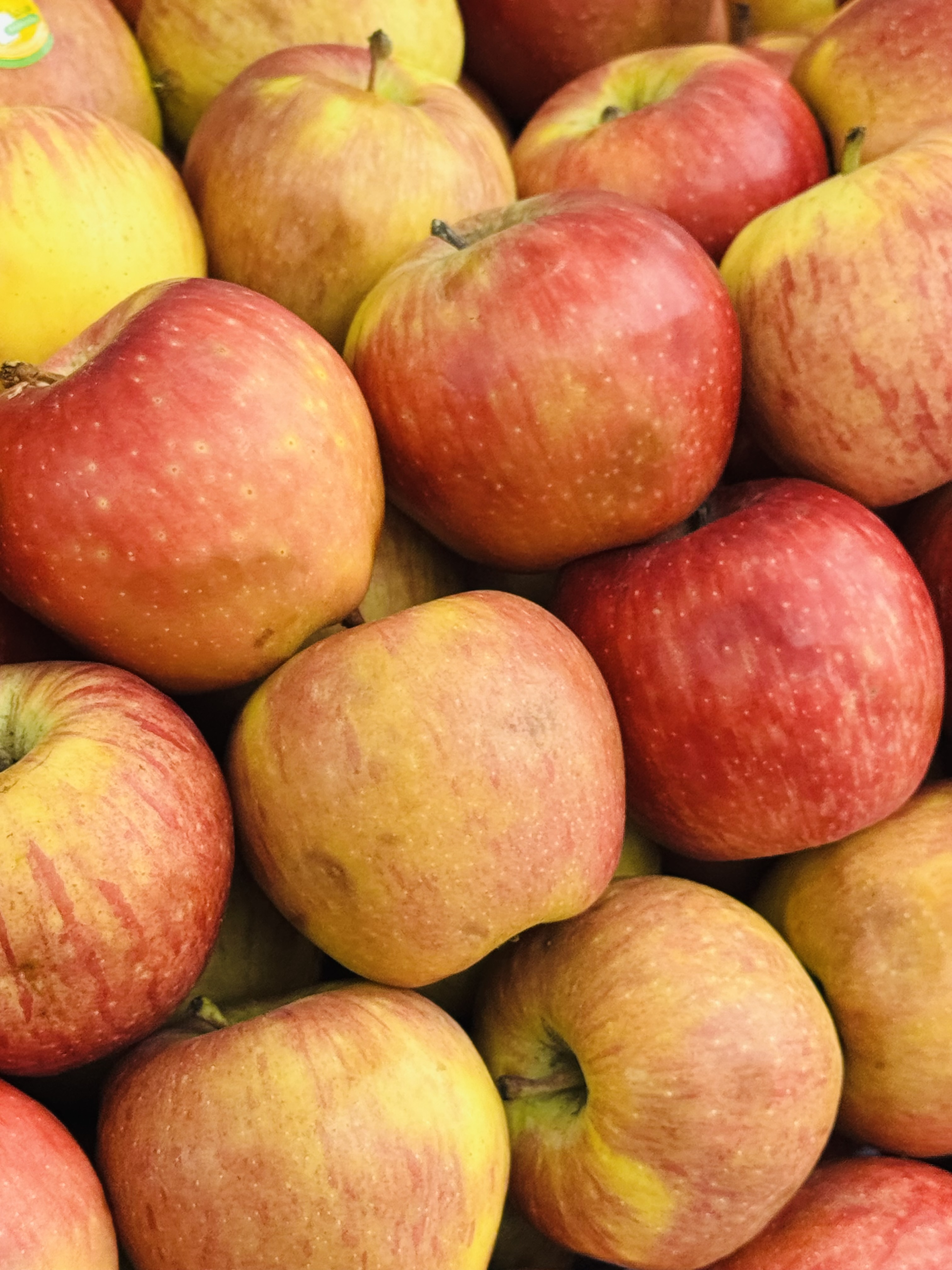 Pink lady apple
