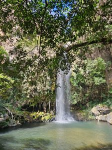 A serene waterfall cascades into a tranquil pool surrounded by lush greenery. Overhanging branches and leaves frame the scene, while a person stands near the water's edge, exploring the natural beauty of the location. The sunlight filters through the trees, illuminating the clear water and moss-covered rocks. Catarata la Cangreja en Liberia, Costa Rica.