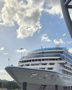 A large, modern white cruise ship docked at a port, showcasing its impressive bow and multiple decks under a bright, cloudy sky.
