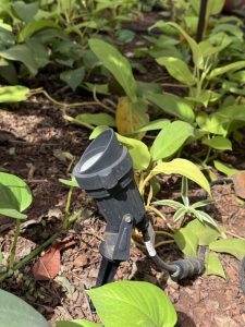 A garden lamp in the grass of a parking lot
