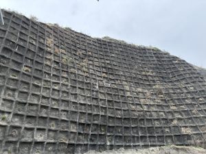A vertical wall with a textured surface featuring a grid pattern, partially covered with patches of green grass and small plants. 