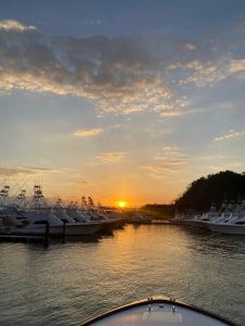 A serene marina scene at sunset, featuring numerous fishing boats lined up along the dock.