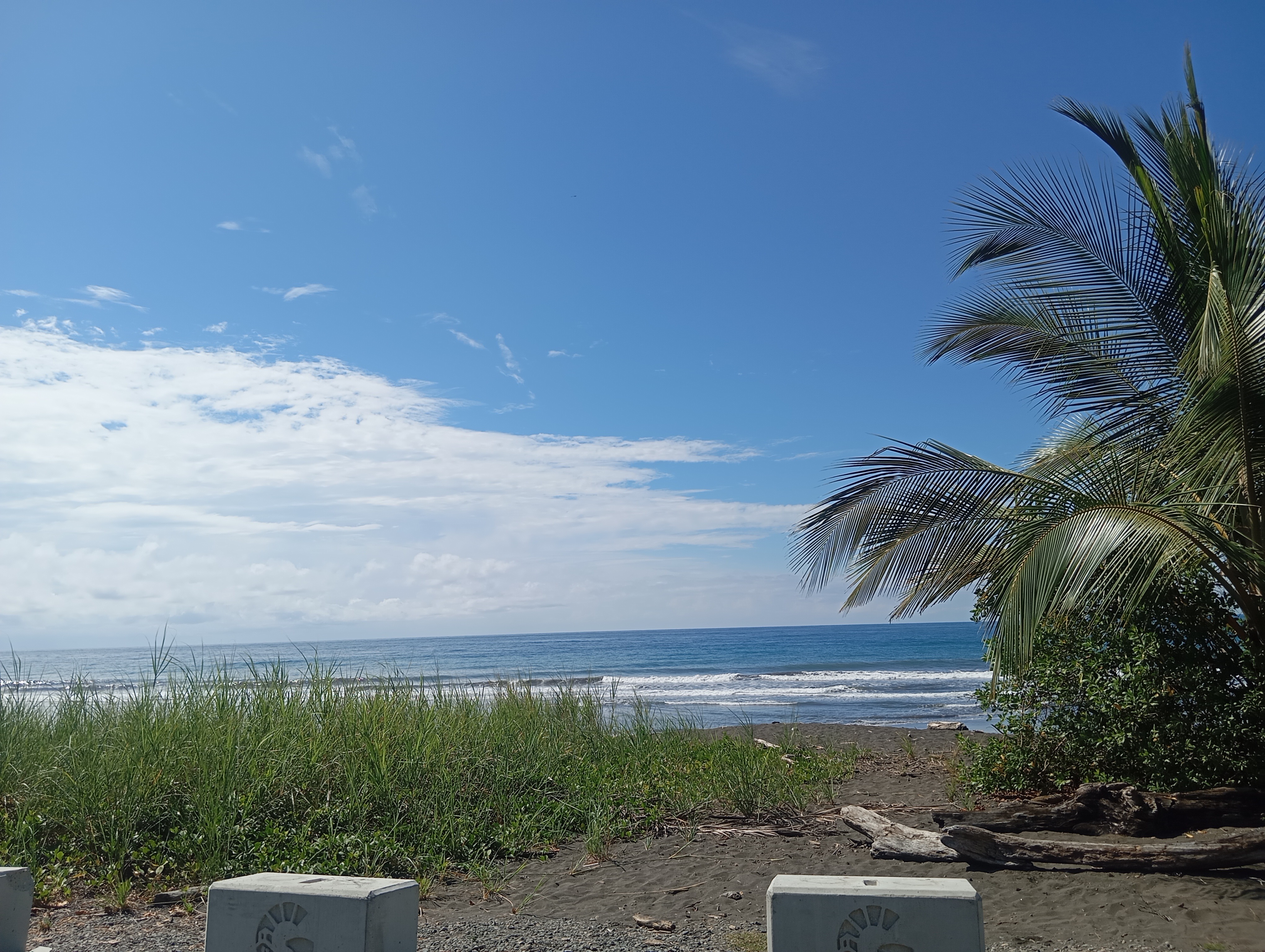 A peaceful tropical beach with gentle waves, soft sand, and a clear blue sky. Palm trees frame the view, creating a relaxing coastal scene.