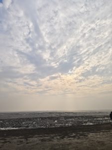 A wide coastal view with a cloudy sky, soft light, a muddy shoreline, and a lone person by the calm sea.
