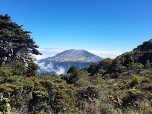 A distant volcano with green plants and a clear sky.