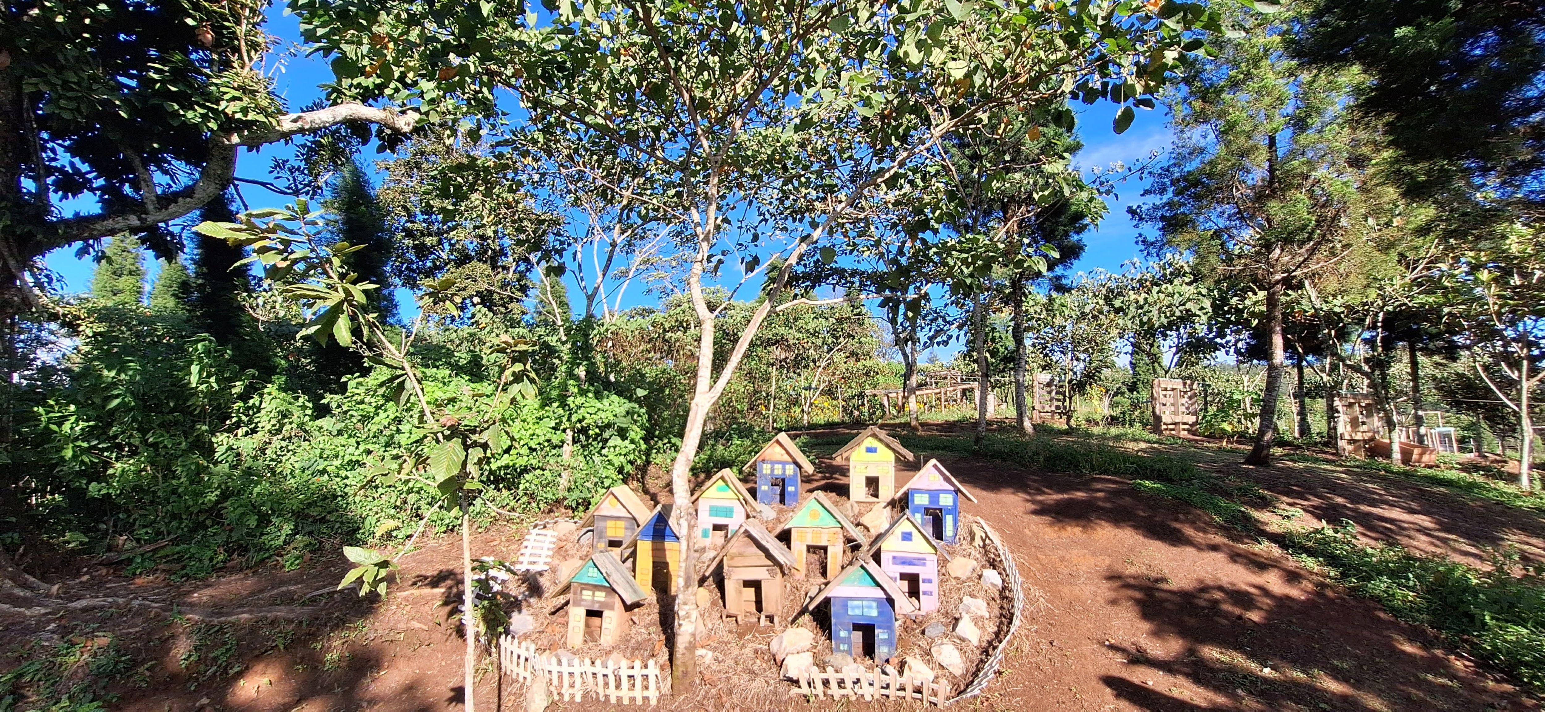 A charming scene at Finca La Cayetana. Cartago. A clustered arrangement of miniature, colorful wooden birdhouses sits within a small fenced garden on a dirt path, surrounded by lush native trees and pine forests. Clear blue sky is visible above. This whimsical installation adds a playful touch to the scenic coffee f