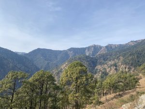 A peaceful mountain scene with green hills, pine forests, and distant ridges under a clear blue sky.
