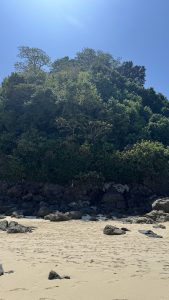 A tall hill covered in thick green trees sits behind a sandy beach. Many dark rocks are scattered along the edge where the forest meets the sand. The sky is a solid bright blue with the sun shining from the top left corner. The sand in the foreground is light tan and shows some footprints.