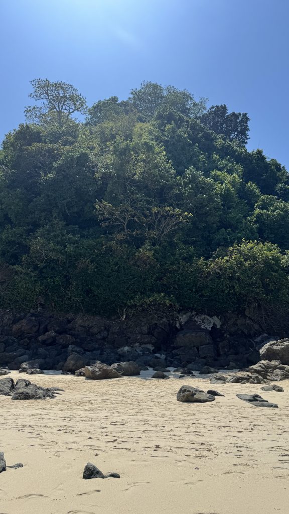 A tall hill covered in thick green trees sits behind a sandy beach. Many dark rocks are scattered along the edge where the forest meets the sand. The sky is a solid bright blue with the sun shining from the top left corner. The sand in the foreground is light tan and shows some footprints.