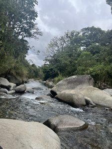 Scenic view of the Orosi River with clear water flowing through large rocks and lush tropical greenery in a cool, misty highland forest setting.
