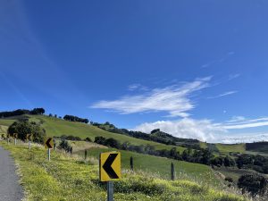 Rolling green hills under a clear blue sky in Cartago, Costa Rica, with a winding road marked by yellow curve signs for left turns.