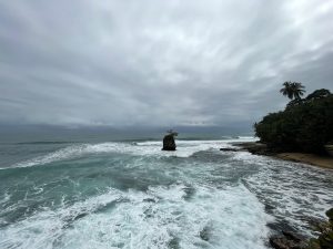 View of the Mazanillo Beach from the Miss May Point at the Gandoca-Manzanillo Natural Wildlife Refuge, Costa Rica