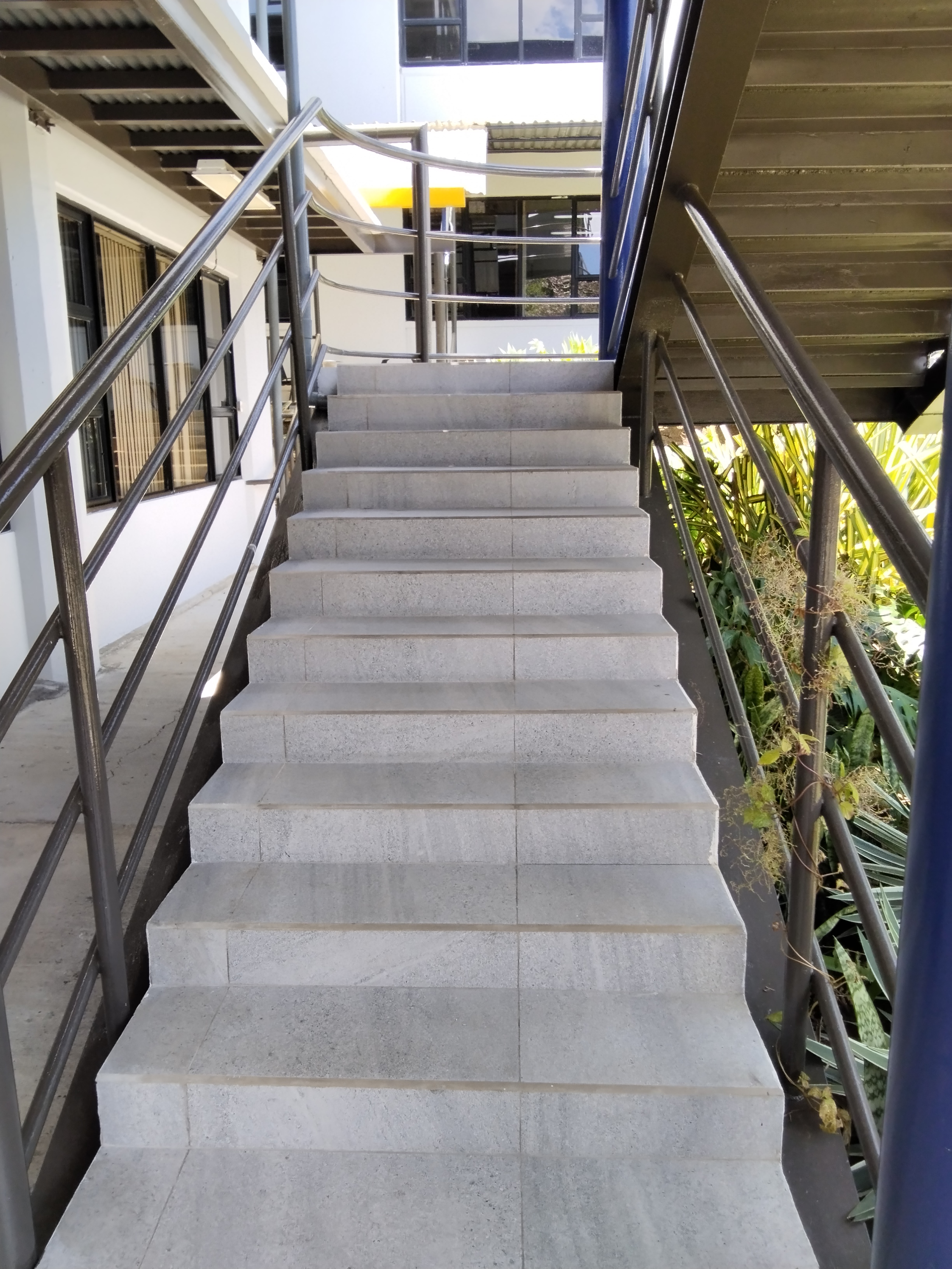 A set of concrete stairs leading upward, flanked by metal railings