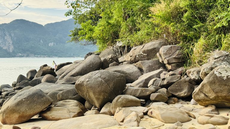 A pile of smooth gray rocks on a sandy shore beside a dense green forest, with calm light blue ocean and distant mountains under a bright sky.
