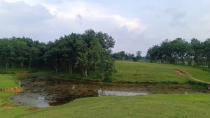A grassy landscape with a small pond in the foreground. Rolling hills stretch to the right, with a narrow dirt path cutting through. Above, a soft, cloudy sky hints at late afternoon.