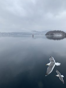 Two gulls glide over the mirror-still surface of Lake Tōya, a volcanic caldera lake in Hokkaido, Japan, on a grey winter day. A lone red structure marks the water mid-frame, with snow-dusted Nakajima island and mist-shrouded mountains fading into the overcast sky behind.
