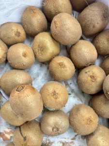 
A collection of brown, fuzzy kiwifruits arranged closely together on a light-colored cloth