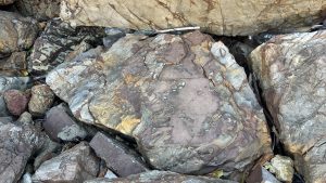 A top view shows many jagged rocks with different colors like grey, orange, and purple. The rocks have rough surfaces and some small white sandy spots. A few pieces of plastic trash and dried leaves are stuck in the gaps between the large stones.