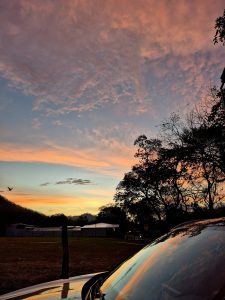 A colorful sunset with pink, orange, and blue hues reflected in a car windshield, with silhouetted trees, a distant mountain, a flying bird, and a grassy field with a building in the background.